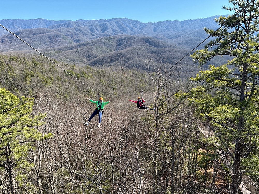 Ziplining & Adventure Parks