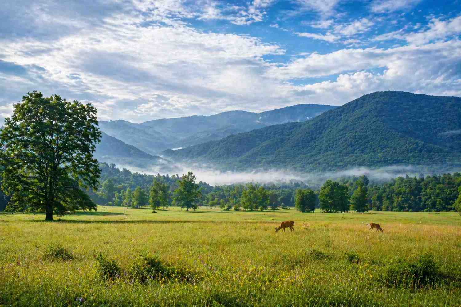 Cades Cove